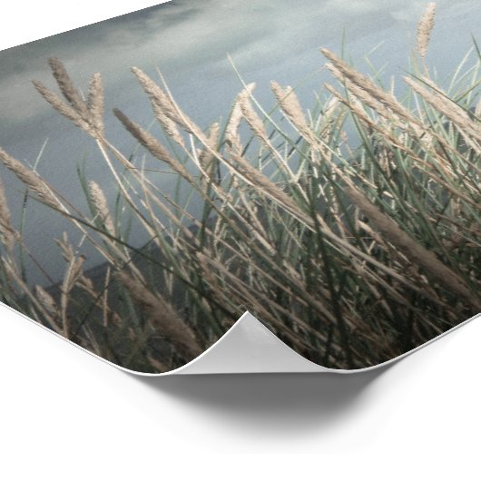 Strand Panorama Poster (Hoek)