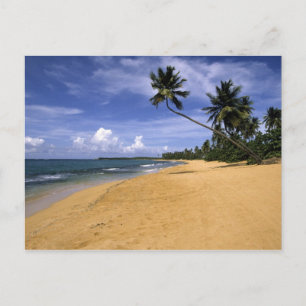 Strand Puerto Rico 2 Briefkaart