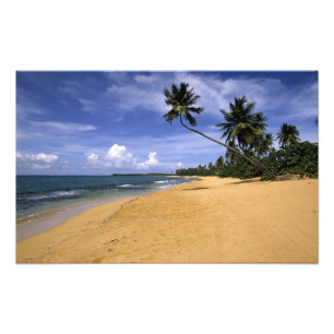 Strand Puerto Rico 2 Foto Afdruk