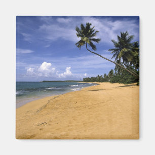 Strand Puerto Rico 2 Magneet