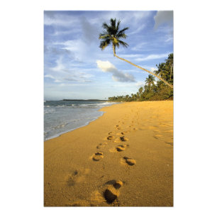 Strand Puerto Rico Foto Afdruk