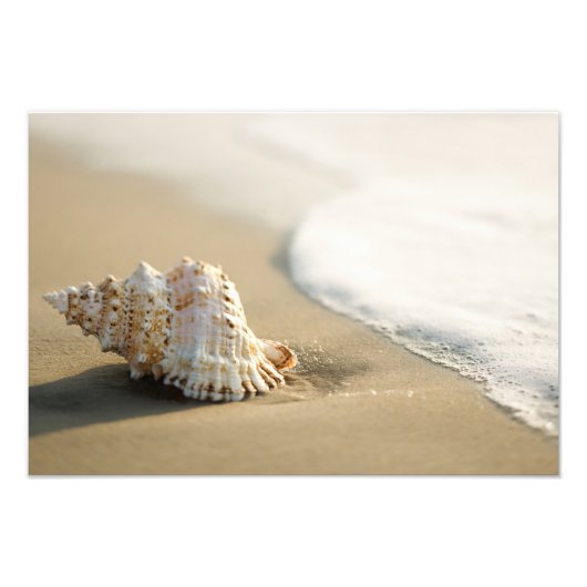 Strand Schelp Foto Afdruk (Voorkant)