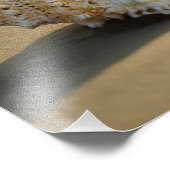Strand Schelp Foto Afdruk (Hoek)