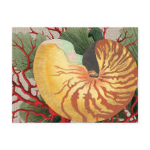 strand Seashell & Red Coral Briefkaart