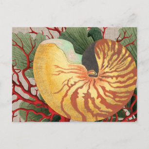 strand Seashell & Red Coral Briefkaart