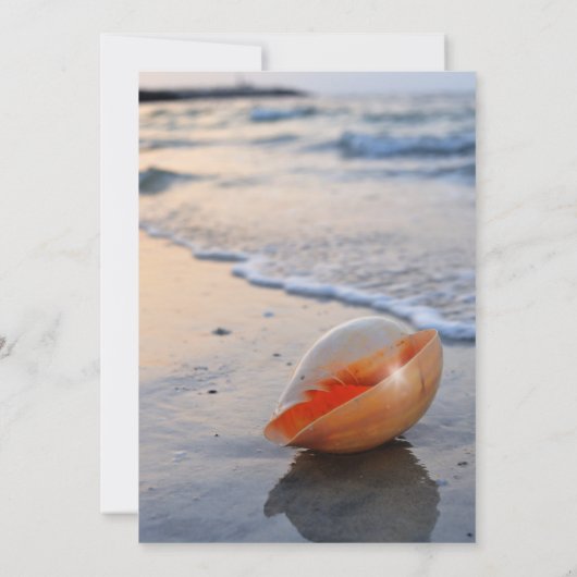 Strand Seashell String Lights Bewaar de datum Save The Date (Achterkant)