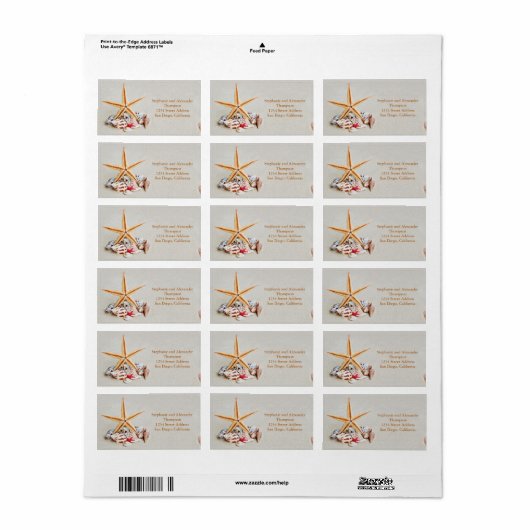 Strand Thema Starfish en Seashell Adreslabel Etiket (Full Sheet)