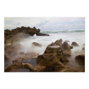 strand van Coral Cove Park, Florida Foto Afdruk