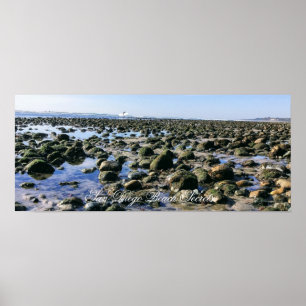 strand van het oude Man - San Onofre State Beach Poster