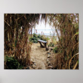 strand van het oude Man - San Onofre State Beach Poster (Voorkant)