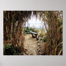 strand van het oude Man - San Onofre State Beach