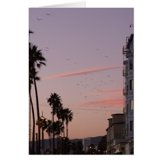 strand van Venice (Voorkant)