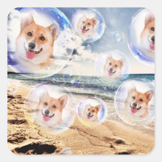 Strand Welsh Corgis Vierkante Sticker