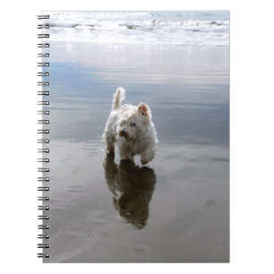 Strand Westie Reflectie Foto Notitieboek