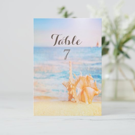  Strand,Zee ster,Schelp  Kaart (Staand voorkant)