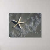 Strand Zeesterren Canvas Print (Voorkant)