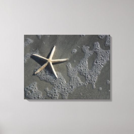 Strand Zeesterren Canvas Print (Voorkant)
