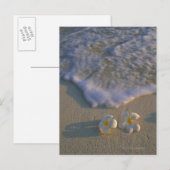 Strandbloem Briefkaart (Voorkant / Achterkant)