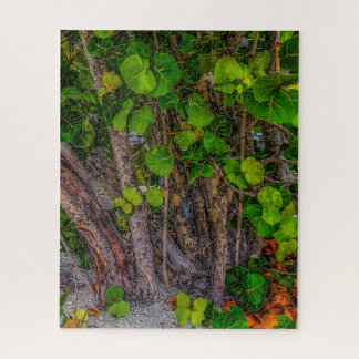 Stranddagen, Bewolkt, Zeedruiven groeien wild Legpuzzel