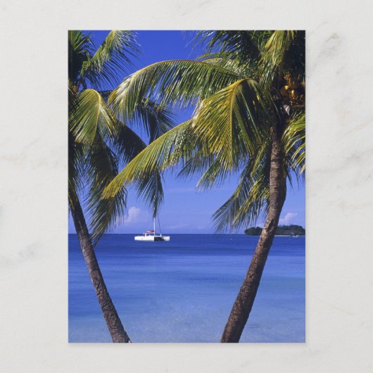 Stranden bij Negril, Jamaica Briefkaart (Voorkant)