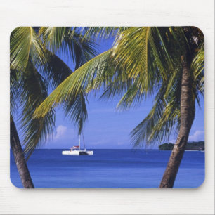 Stranden bij Negril, Jamaica Muismat