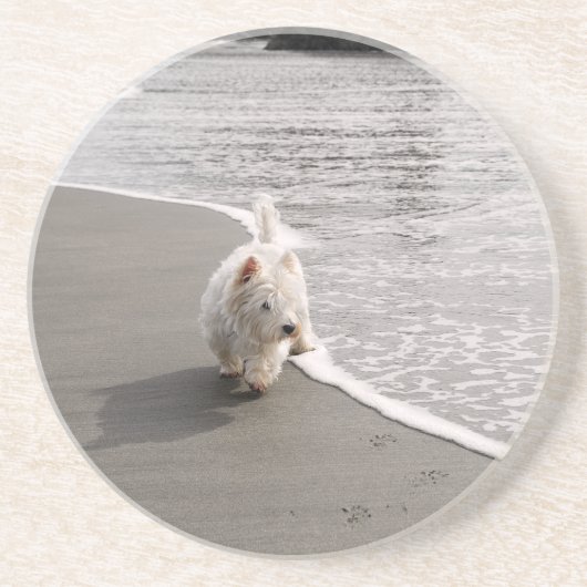 Strandkammen Westie Dog Foto Zandsteen Onderzetter (Voorkant)