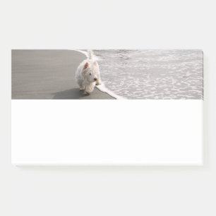 Strandkammen Witte Westie Hond Foto Stationery Post-it® Notes