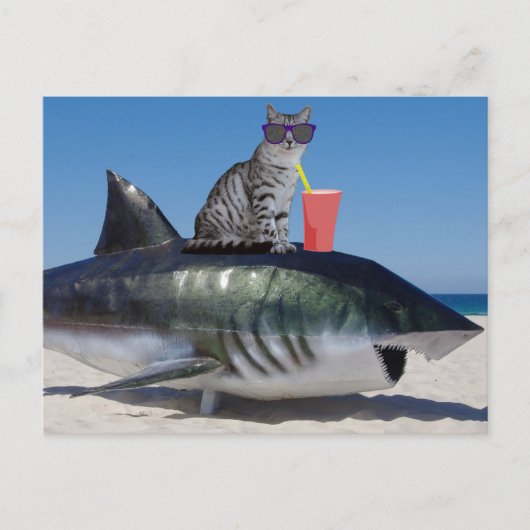 STRANDKAT OP SHARK GRAPPIG BRIEFKAART (Voorkant)