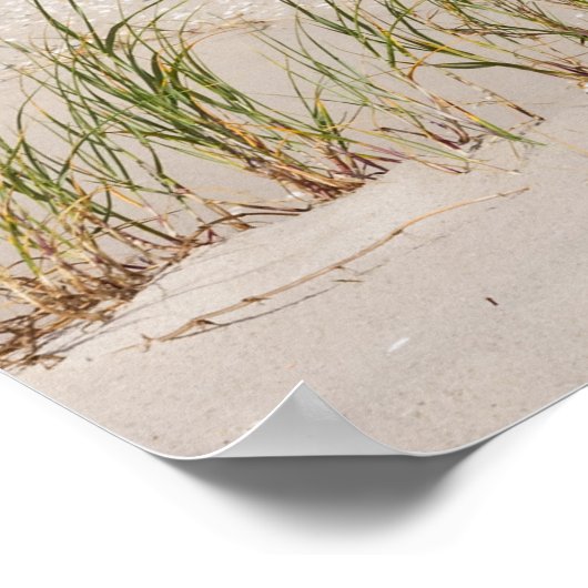 Strandkorb 337 poster (Hoek)