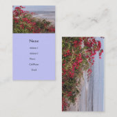 strandplaats visitekaartje (Voorkant / Achterkant)