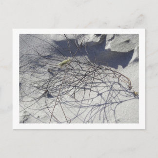 strandpuin briefkaart