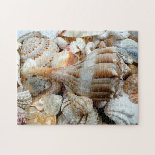 Strandschelpen Bliksem Wulk Puzzel (Horizontaal)