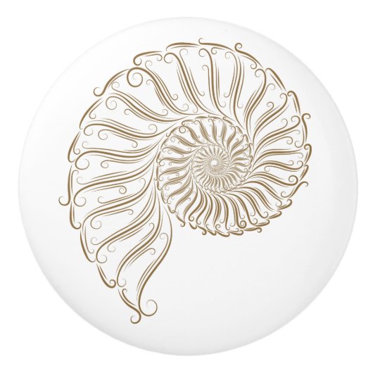Strandshell lade knoppen (Voorkant)