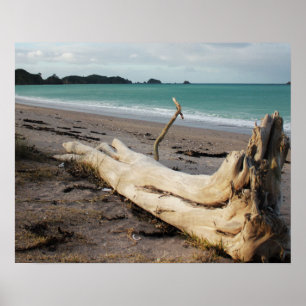 strandsport foto poster