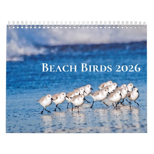 Strandvogels fotografie kalender (Hoes)