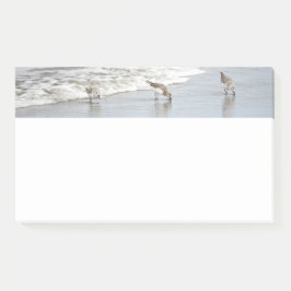 Strandvogels in het Surf 10x6 Notities Post-it® Notes