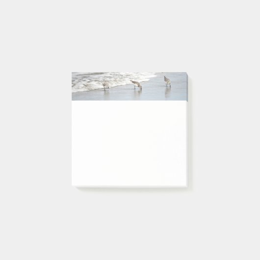 Strandvogels in het Surf 3x3 Notities Post-it® Notes (Voorkant)