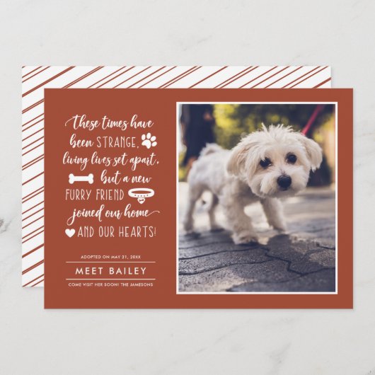 Strange Times New Pet Photo Faire-part | Orange (Devant / Derrière)