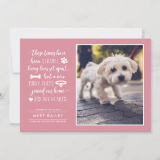Strange Times New Pet Photo Notice| Roze Feestdagenkaart