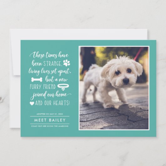 Strange Times Nieuwe Pet Fotoaankondiging | Blauwg Feestdagenkaart (Voorkant)