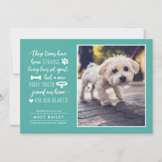 Strange Times Nieuwe Pet Fotoaankondiging | Blauwg Feestdagenkaart