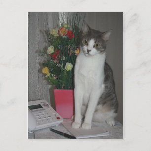Strange Voices Briefkaart