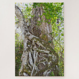 Strangler Fig, Big Cypress National Preserve, FL Legpuzzel