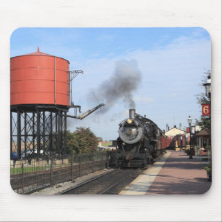 Strasburg Railroad Muismatten