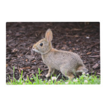 Bébé lapin lapin Set de table laminé
