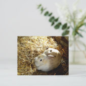 Straw Bunny Briefkaart (Staand voorkant)