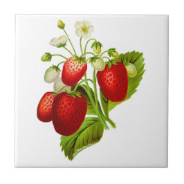 Strawberry Ceramic Tile Tegeltje