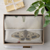 Strawberry en Emperor Moth door Jacques de Morgues Tissuepapier (Geschenk)