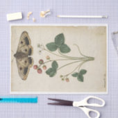 Strawberry en Emperor Moth door Jacques de Morgues Tissuepapier (Craft)