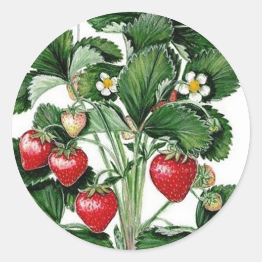 Strawberry Jam Jar Lid Label (Voorkant)